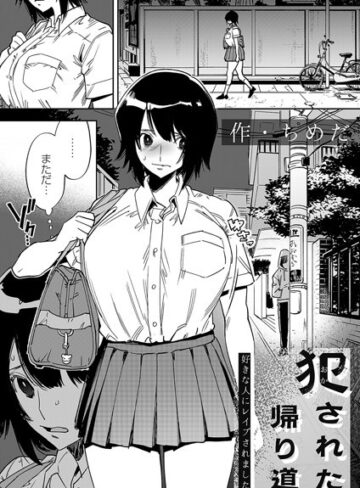 ちめだ/犯●れた帰り道（単話）[拘束]評価