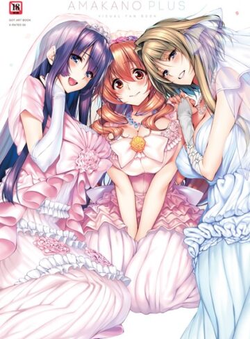 ピロ水/アマカノ＋ ビジュアルファンブック[単行本]評価5.00