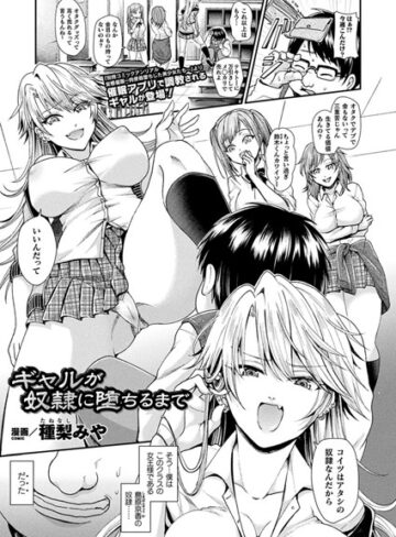 種梨みや/ギャルが奴●に堕ちるまで（単話）[単話]評価4.00