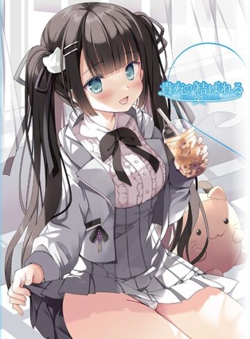 うりぼうざっか店/貴方と結ばれる 〜Before Marriage、After Marriage〜[フルカラー]評価