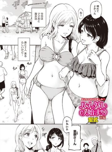 宏式/ハメ外しの始まり（単話）[単話]評価
