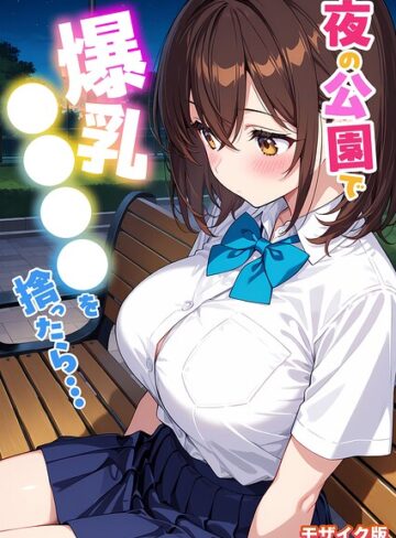 StudioSR/夜の公園で爆乳●●●●を拾ったら… モザイク版[フルカラー]評価